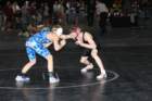 section1aaa3_small.jpg