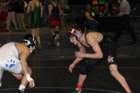 section1aaa4_small.jpg