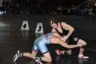section1aaa6_small.jpg