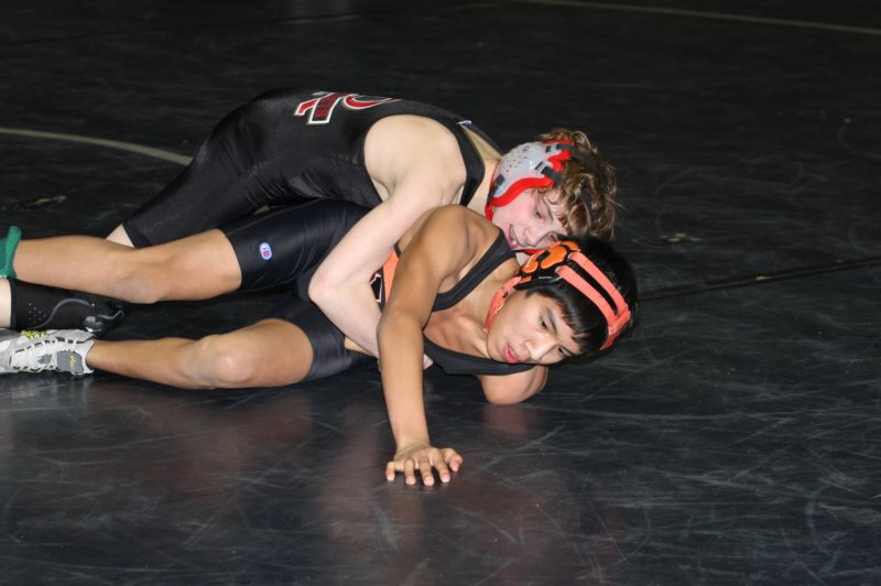 section1aaa7.jpg
